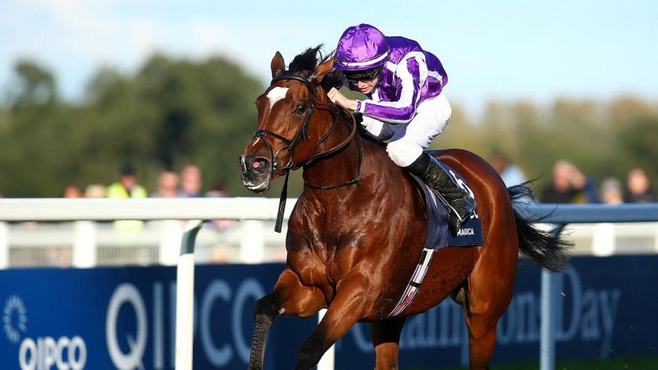 Horses running at Ascot